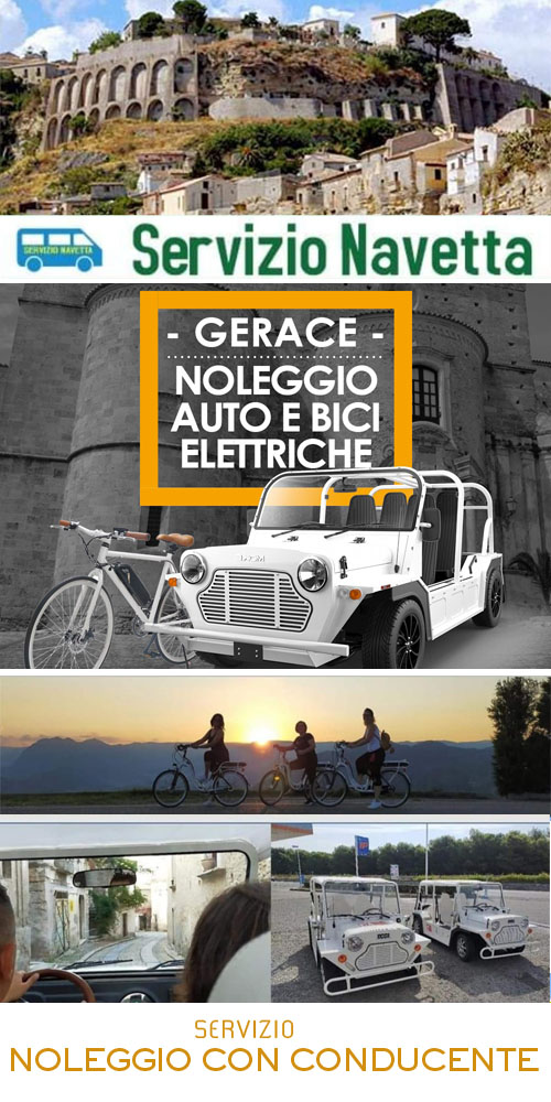 Servizio Noleggio